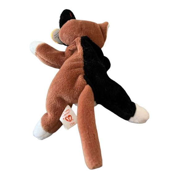 Ty Beanie Baby Chip the Cat Retired RARE Errors Mint 1996 w/tag protector case. - Picture 4 of 7